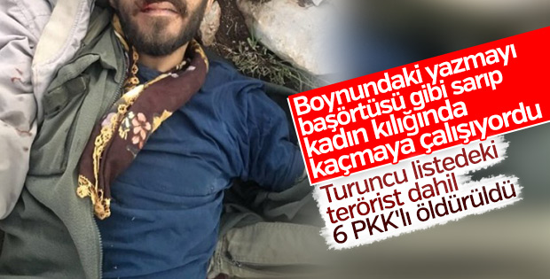 Turuncu listedeki terörist öldürüldü