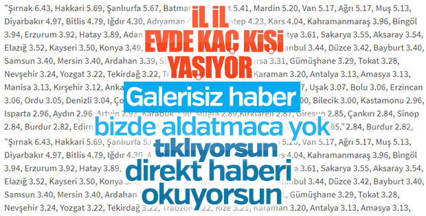 Türkiye'nin en kalabalık haneleri Doğu'da