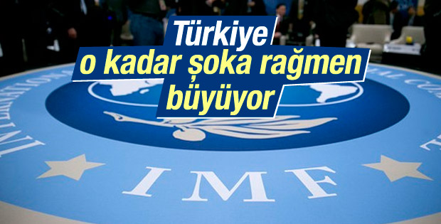 IMF: Türkiye çeşitli şoklara rağmen büyüyor