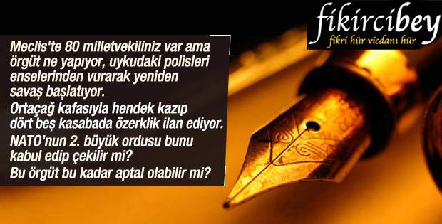 Fikirci Bey yazdı: ERDOĞAN’I VERİN KURTULUN