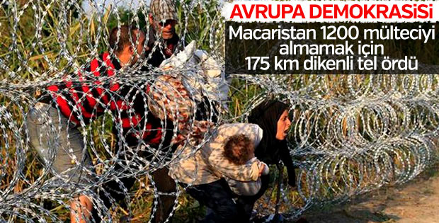 Macaristan'ın mülteci korkusu: Sınıra jiletli tel çekti