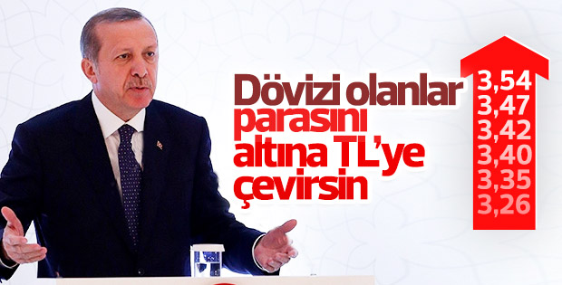 Cumhurbaşkanı Erdoğan'dan dövizi olanlara çağrı