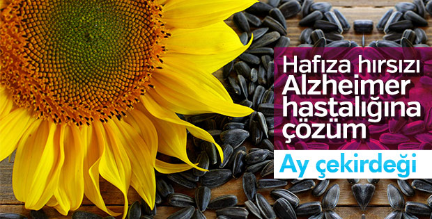 Ay çekirdeği Alzheimer’ı önlüyor