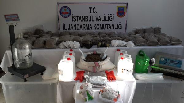 İstanbul'da 2 milyon liralık bonzai operasyonu