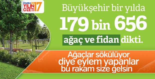 İstanbul ağaca, İstanbullular oksijene doyacak