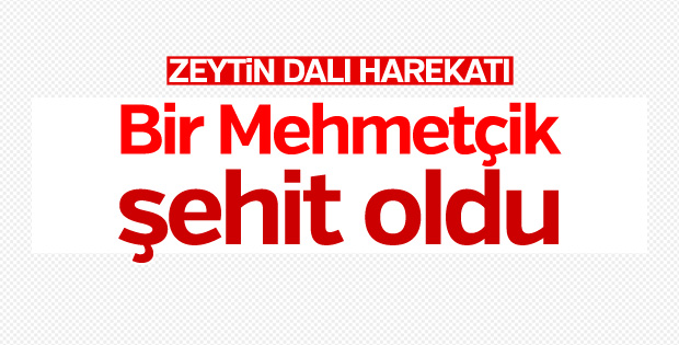 Zeytin Dalı Harekatı'nda 1 askerimiz şehit oldu
