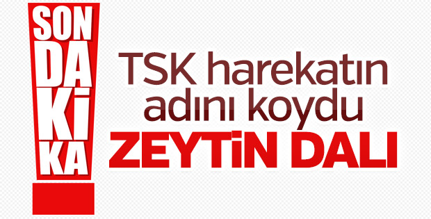 TSK Afrin operasyonun adını koydu