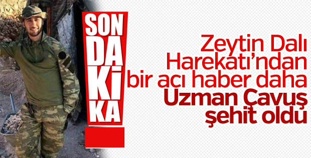 Zeytin Dalı Harekatı'nda 3. şehit