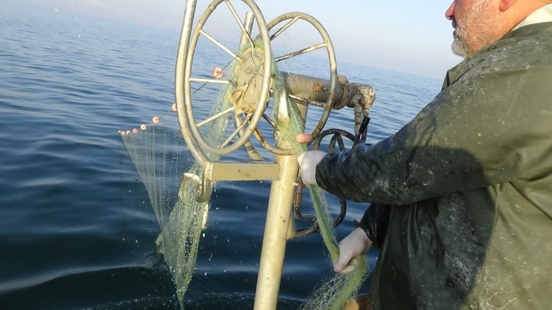 Akkuş, konuşmasında doğayı korumanın önemine dikkat çekti.