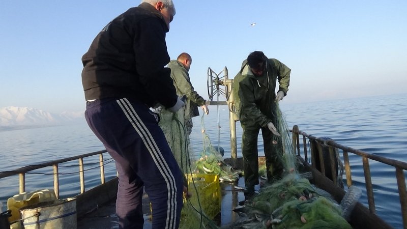 Balıkçı Gökmen Yücebaş, bu yıl balık sezonunun fena geçmediğini ifade ederek, “Yasak dönemdeki çalışmalardan dolayı çok memnunuz. Van YYÜ Su Ürünleri Fakültesi Dr. Öğretim Üyesi Mustafa Akkuş beyin üreme döneminde yaptığı çalışmalardan çok memnunuz.