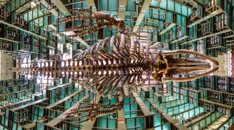 Vasconcelos Library, Mexico City, Meksika