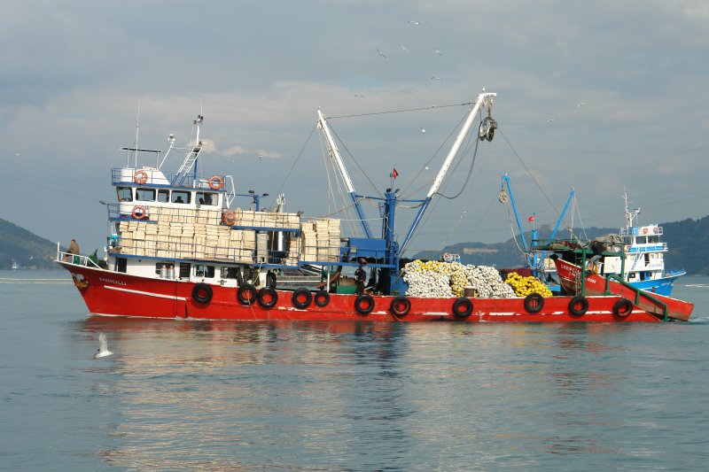 İstanbul'un kıyıları ve denizlerinin kendine has özellikleri burada farklı kültür ve geleneklerin yerleşip yaşamasına vesile olmuştur.
