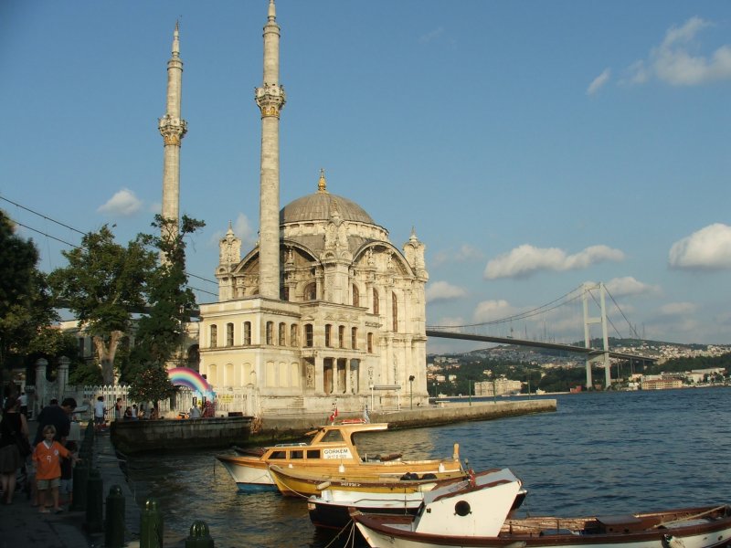 İstanbul, sularında yetişen, kendine yol açarak geçen farklı balık çeşitlerinin barınağı konumundadır.