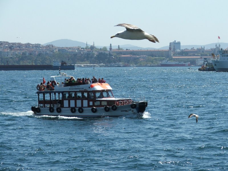 Balıklardan bazıları da Haliç içlerinde tuzlama, turşu, lakerda, kurutma teknikleriyle işlenerek birer gıda kaynağına dönüşmüştür.