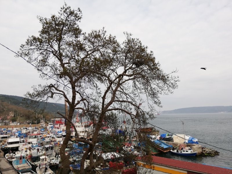 Bu şaşırtıcı bulgular İstanbul kentinin yerleşim tarihini günümüzden yaklaşık 8 bin 500 yıl geriye taşımıştır.