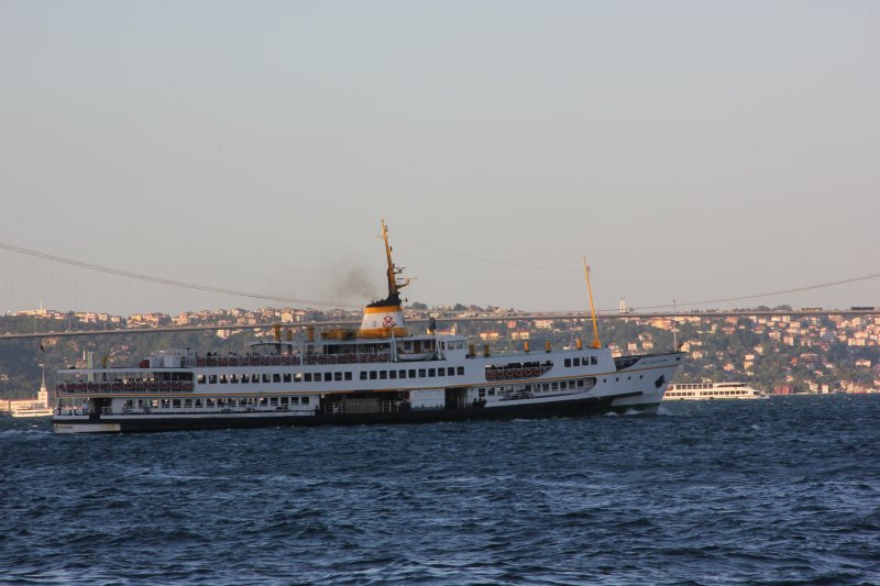 Deniz kenarında, üzerinde solunan bu canlı hayat, şehrin ekonomisine, besin kaynağına, sosyal yaşantısına, kültürüne dair derin izler bırakmıştır.