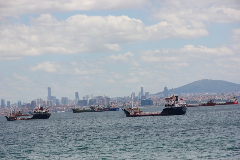 Günümüzde Boğaziçi’nde yaşayan ve içinden geçen balık türlerinin zenginliği çeşitli nedenlerle azalmış bulunmaktadır.