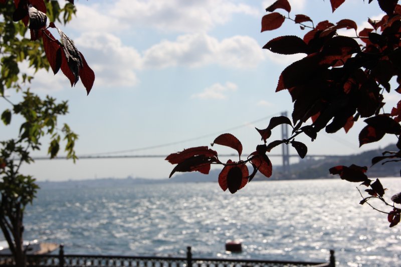 İstanbul’un köşkleri ve yalılarından oluşan bu ayrıcalıklı oturum alanlarının sadece mimari özellikleri, ihtişamları değil, yapım öyküleri ve içinde yaşayan insanların hikâyeleri de ilgi çekiyor, göz kamaştırıyor.