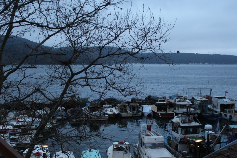 Boğaziçi'nde pek çok noktada Osmanlı sultanlarına avlaklar, hasbahçeler, gezi parkurları oluşturulmuştur.