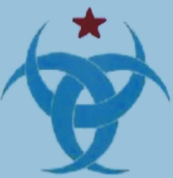 12 Kasım 2020 - Devlet Partisi