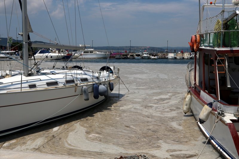 Marmara Denizi'ni saran müsilaj temizleniyor #26
