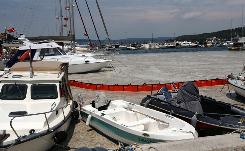 Marmara Denizi'ni saran müsilaj temizleniyor #27