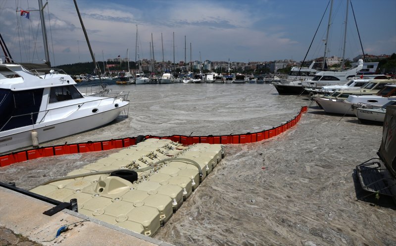 Marmara Denizi'ni saran müsilaj temizleniyor #28