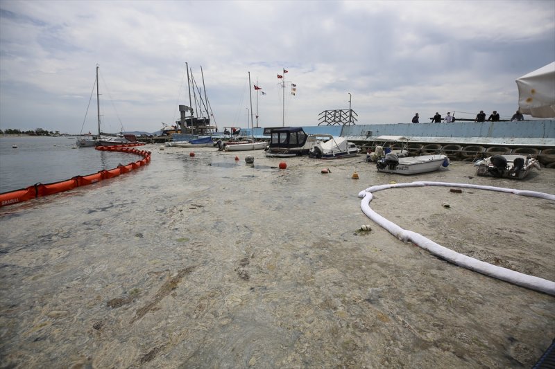 İstanbul'da Caddebostan Sahili'nde başlatılan müsilaj temizleme çalışmalarına sivil toplum kuruluşları tarafından da destek verildi.