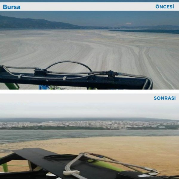 Bursa