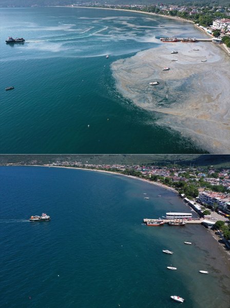 Marmara Denizi'nde müsilaj, yok denecek kadar azaldı #40