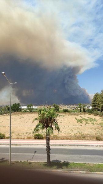 Manavgat'taki yangın, yerleşim yerlerine sıçradı #21