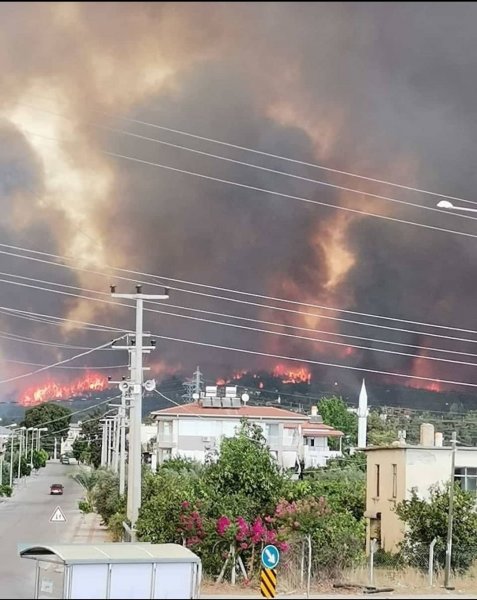 Manavgat'taki yangın, yerleşim yerlerine sıçradı #23