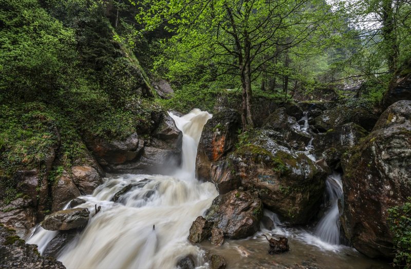 Limni Gölü Tabiat Parkı