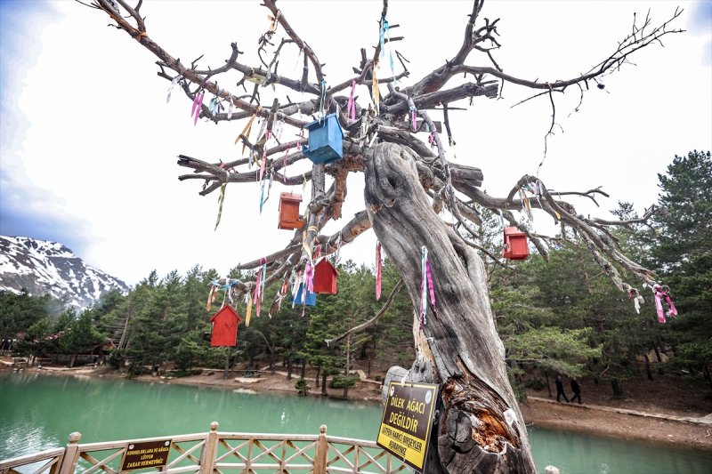 Limni Gölü Tabiat Parkı
