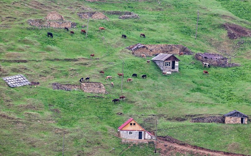 Limni Gölü Tabiat Parkı