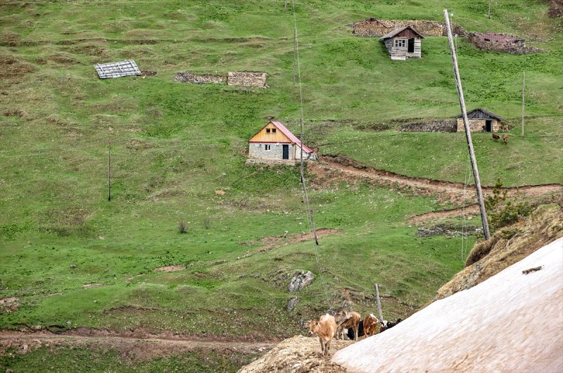 Trabzon Havalimanı'na 65, Gümüşhane kent merkezine 45 kilometre uzaklıktaki 2 bin 50 rakımlı Limni Gölü Tabiat Parkı, Zigana Dağı eteklerinde yer alıyor.