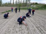 Kayseri'de 14 bin 928 kök kenevir ele geçirildi