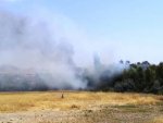Malatya'da iki farklı alanda yangın 20 hektarlık kül oldu