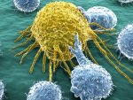 Bilim adamlarının kanser hücreleriyle ilgili yeni tespiti