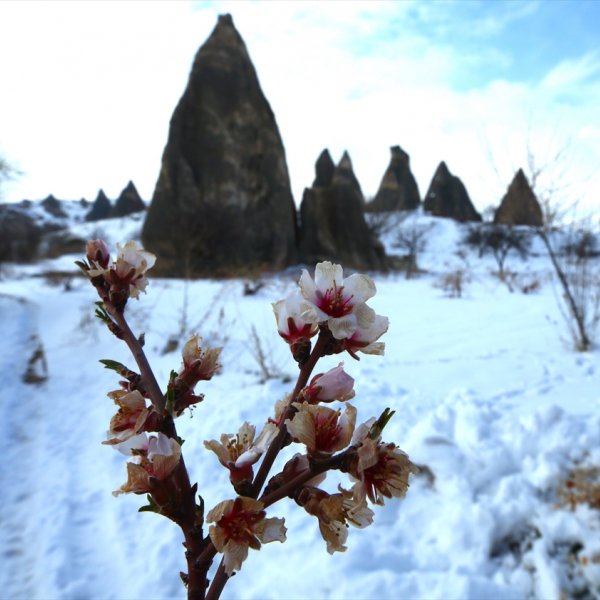 İlkbaharda yağan kar Kapadokya'ya yakıştı