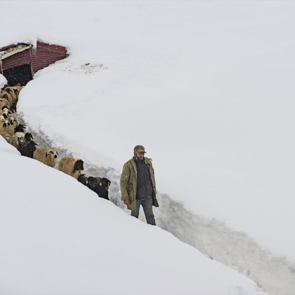 Ovacık'taki çiftçilerin 2 metrelik kar bereketinden manzaralar