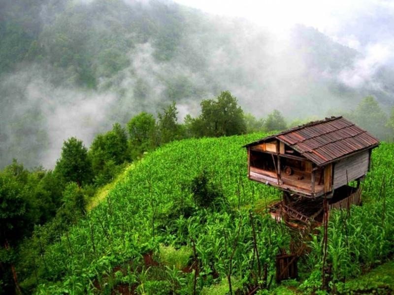 Geleneksel Karadeniz evleri