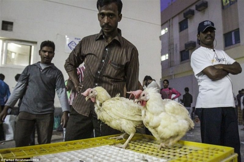 Lüks ve ihtişam içindeki Dubai'nin bilinmeyen yüzü