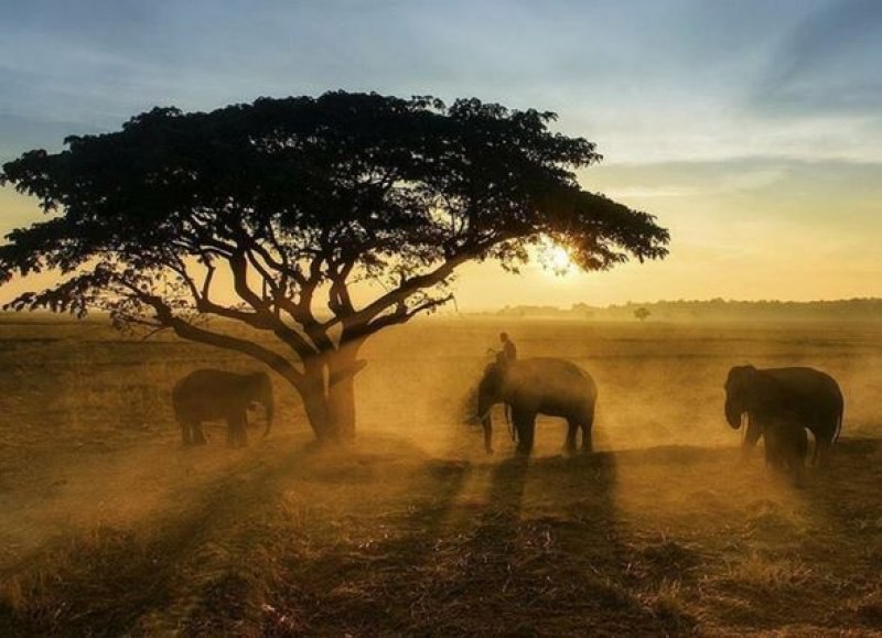 National Geographic Türkiye'den en güzel fotoğraflar 