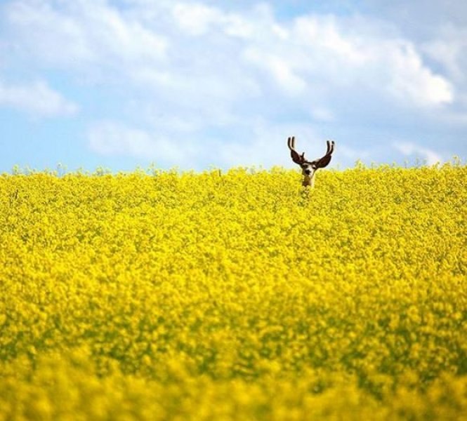National Geographic Türkiye'den en güzel fotoğraflar 