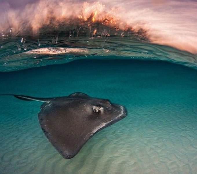 National Geographic Türkiye'den en güzel fotoğraflar 