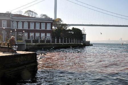 2009 Kurban Bayramı manzaraları
