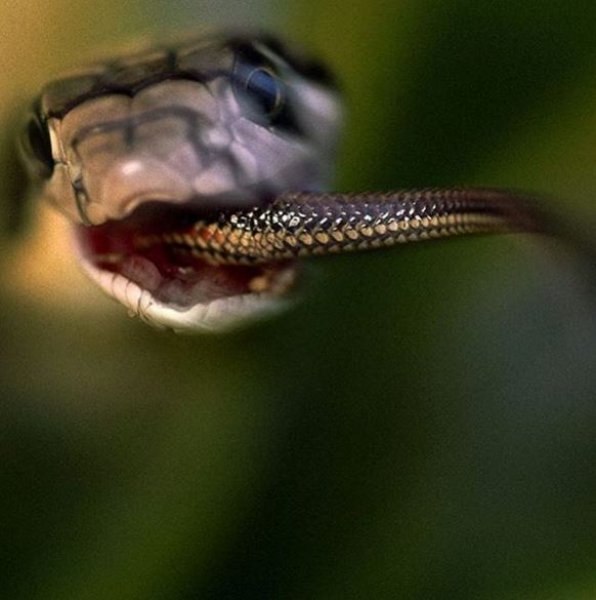 National Geographic Türkiye'den en güzel fotoğraflar 