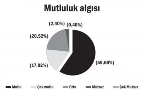 Türkiye'de aile yapısı araştırması