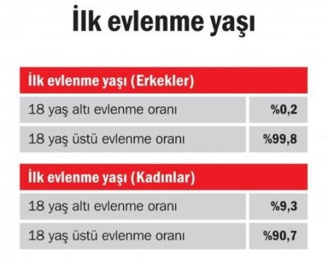 Türkiye'de aile yapısı araştırması
